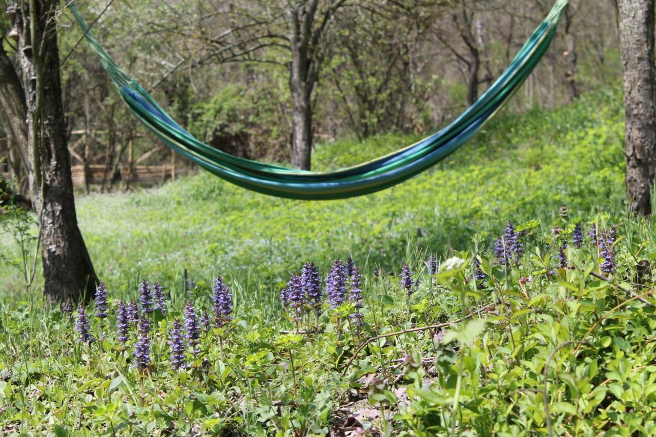Boscobo - Relax & Natura Bologne Extérieur photo
